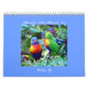 Suche nach känguru kalender Emu