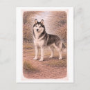 Suche nach sibirischer husky postkarten Huskys