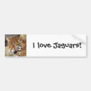 Suche nach jaguar autoaufkleber Katze