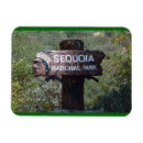 Suche nach sequoia magnete California