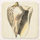 Suche nach vintage muschel untersetzer Tritonshorn