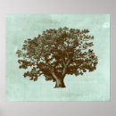 Suche nach wellness center poster Bäume