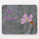 Suche nach weißes blume mousepads Rosa
