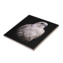 Suche nach falke fliesen Raptor