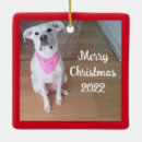 Suche nach glücklicher hund ornamente Jede person