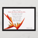 Suche nach paradiesvogel einladungen Für alle