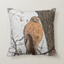 Suche nach falken kissen Raubvogel