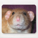 Suche nach lustige ratte mousepads Niedlich