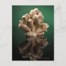 Suche nach nährstoff postkarten Lebensmittel und getränke