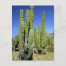 Suche nach orgelpfeifen postkarten Natur