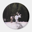 Suche nach lappland magnete Arktisch