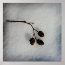 Suche nach zweige poster Winter