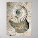 Suche nach fibonacci spirale poster Übelkeit