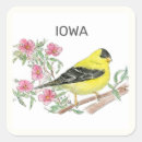 Suche nach goldfinches aufkleber Tierwelt