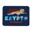 Suche nach krypto magnete Dc super haustiere