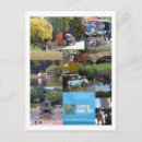 Suche nach buggy postkarten Pferd und buggy