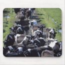 Suche nach milchkuh mousepads Landwirtschaft