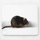 Suche nach weiße ratte mousepads Nagetier