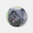 Suche nach cairns magnete Hund