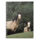 Suche nach mustang kleine notizbücher Foto