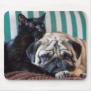 Suche nach hunde und katzen mousepads Jede person