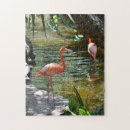 Suche nach ruhestand puzzle Florida