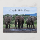 Suche nach wasserloch postkarten Afrika