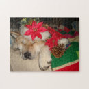 Suche nach kegel puzzle Jede person