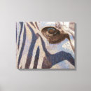 Suche nach zebra leinwandbilder Tierkunst
