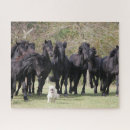 Suche nach schwarze pferde puzzle Bob langrish