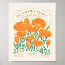 Suche nach poppy poster Poppies
