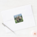 Suche nach nashorn aufkleber Wild