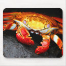 Suche nach krebstiere mousepads Krabben
