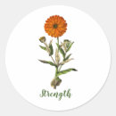 Suche nach ringelblume aufkleber Blumen