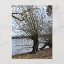 Suche nach alter baum postkarten Fluss