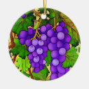 Suche nach weinreben ornamente Lila