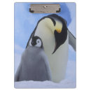 Suche nach pinguin klemmbrett Schnee