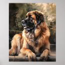 Suche nach leonberger poster Für alle