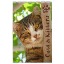 Suche nach haustier kalender Katze