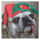 Suche nach zungen fliesen Fotografie