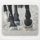 Suche nach vorderansicht mousepads Tier