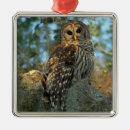 Suche nach moos ornamente Wald