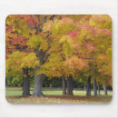 Suche nach ahornbaum mousepads Adam jones