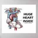 Suche nach anatomisches herz poster Jede person