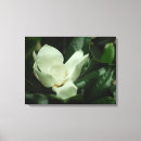 Suche nach magnolien leinwandbilder Grün
