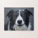 Suche nach schneehunde Welpen
