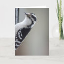 Suche nach zuhörer postkarten Lustig