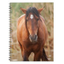 Suche nach mustang kleine notizbücher Wildpferd