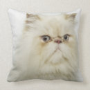 Suche nach persische katze kissen Katzen