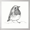 Suche nach gartenvögel poster Rotkehlchen
